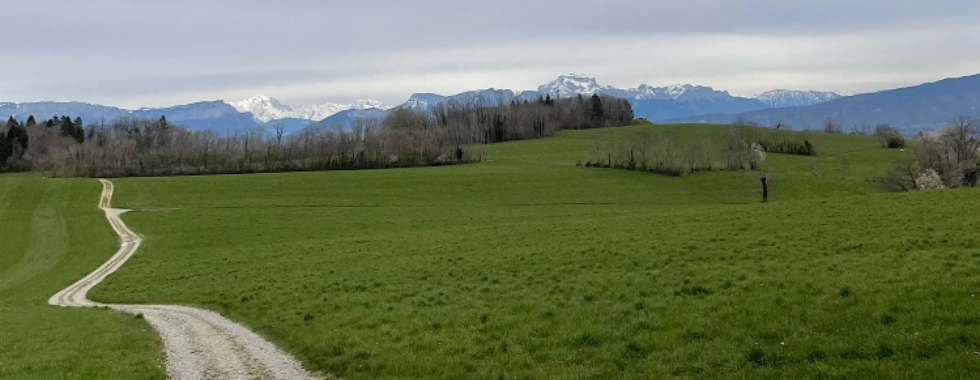 Gravel dans l'Albanais