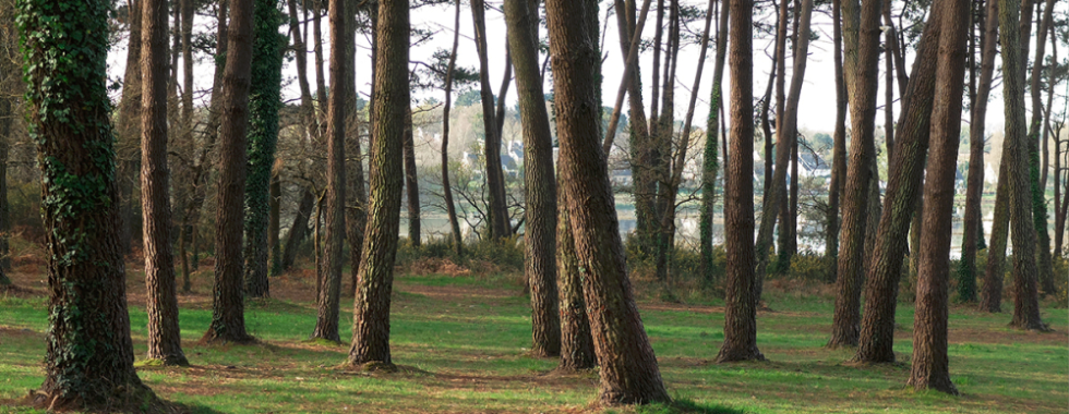 ESCAPADES_PLOUGOUMELEN -Gde Boucle 21km