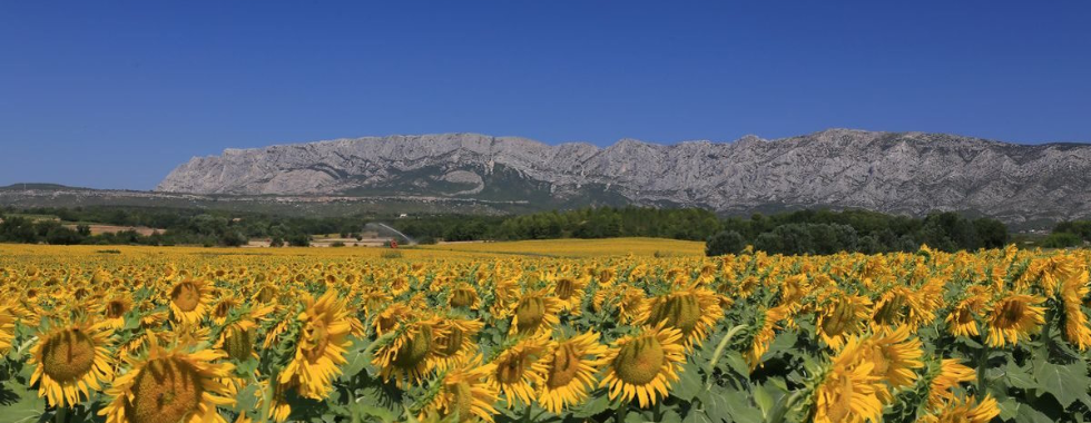 8oct23 88km : Meyreuil, Gréasque, Ptt Galibier.