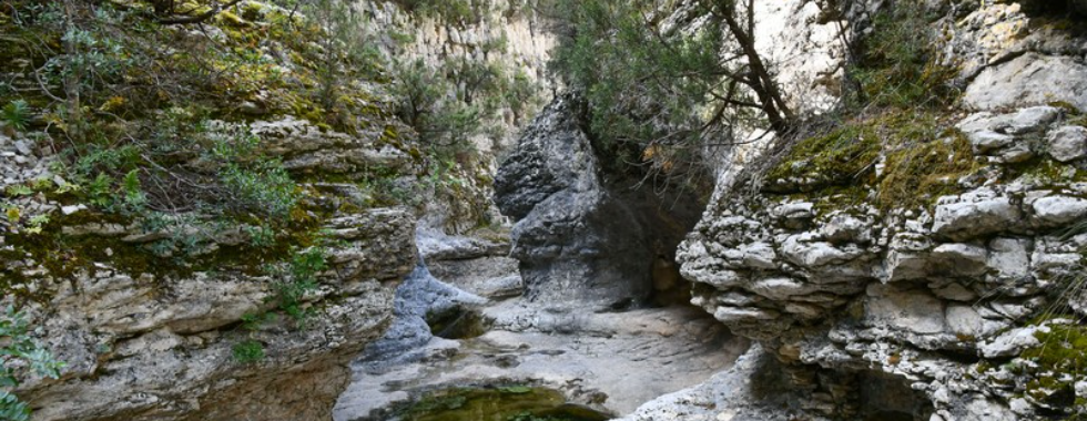 Joucas - les gorges de la Véroncle