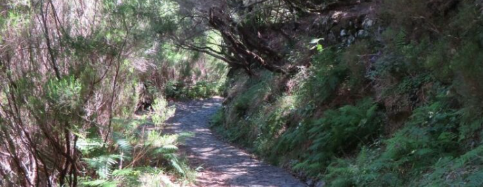 Levada das 25 fontes levada do risco
