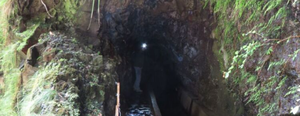  Vereda da Ribierira da Janela PR15