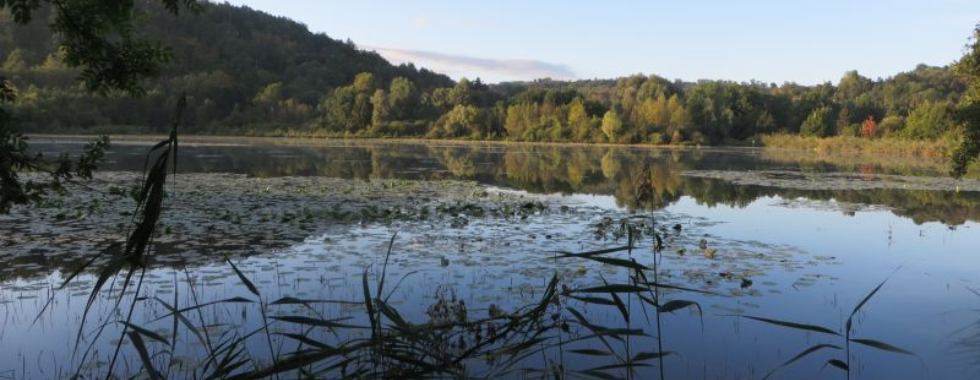 Tour de l'étang de Gôle