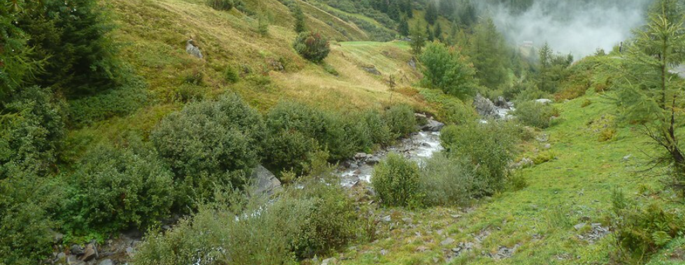Kappl - Niederelbehütte