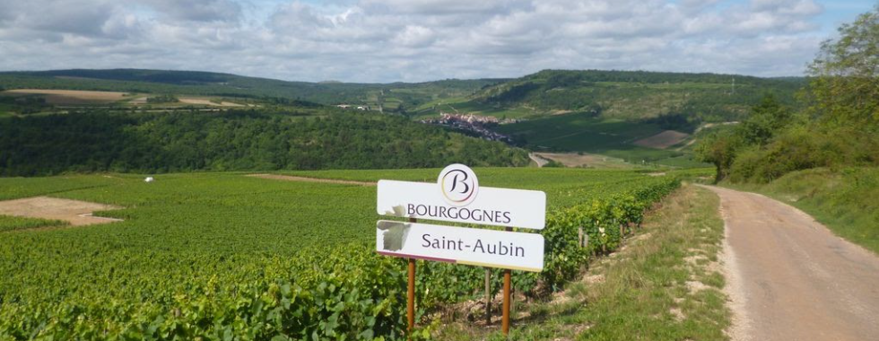 SR des Côtes de Bourgogne
