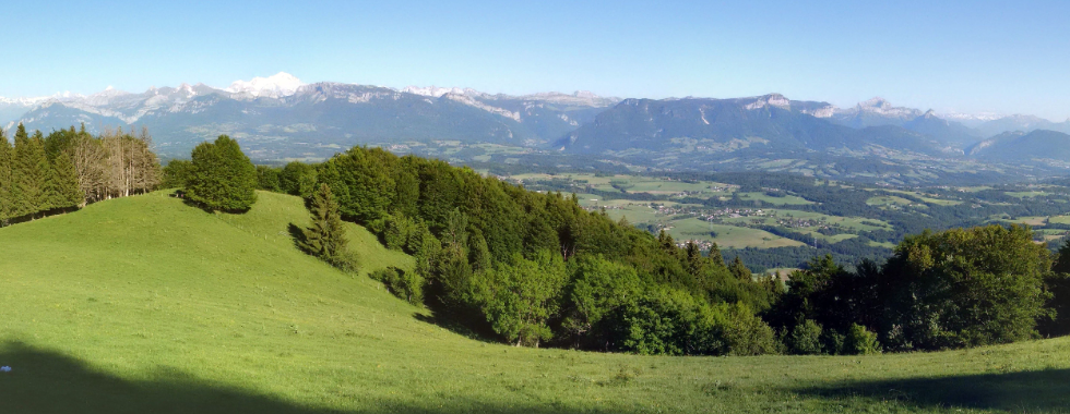 SR du Léman Dément