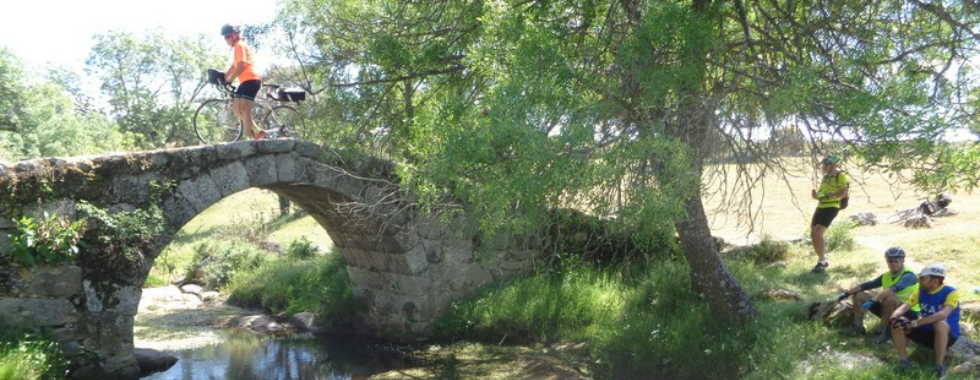 Puente de Navalayegua