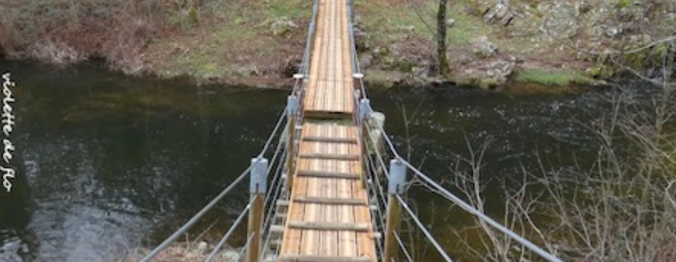 Saint -Sorny (Deyras)