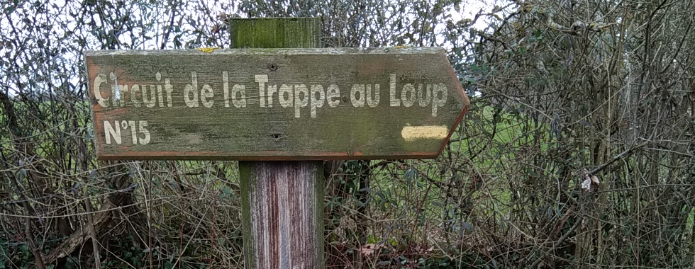 Barou-en-auge - MG