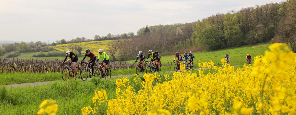 Cyclo Sud Bourgogne 2024 - Parcours 88km