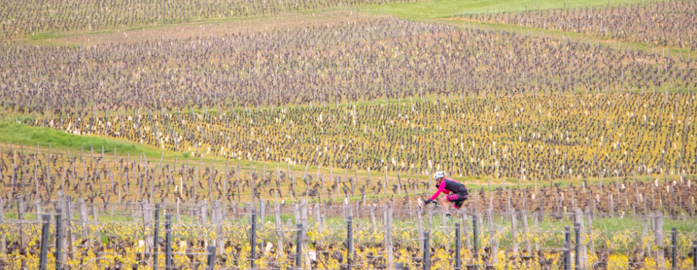 Sud Bourgogne 2025 - Gravel 62