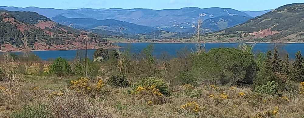 Parcours du Coeur CS 2024 6km