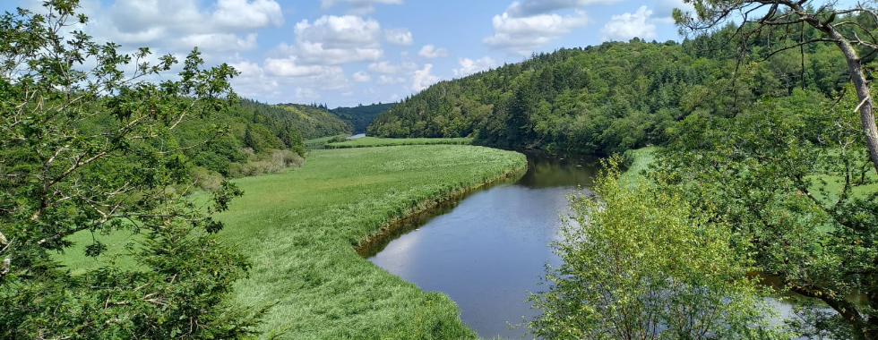 Tour de la Forêt de TOULFOEN 2023 SGDB