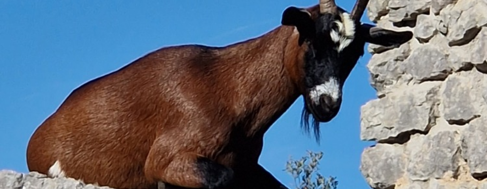 Basses Gorges et chapelle Sainte-Maxime