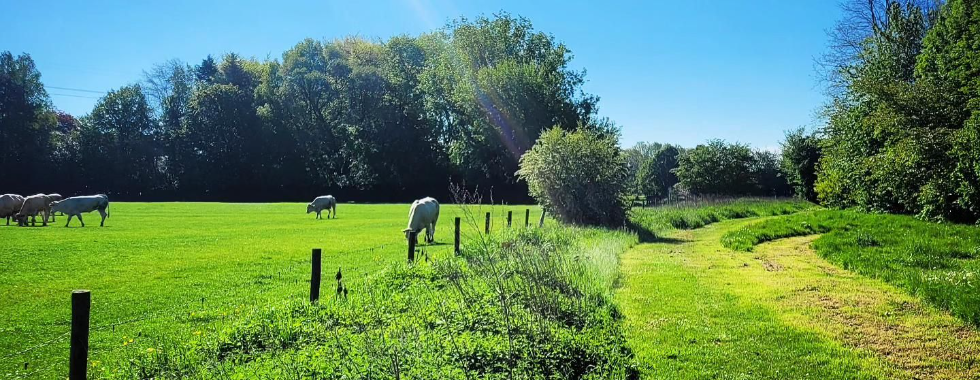 Gondecourt -- Allennes-les-Marais