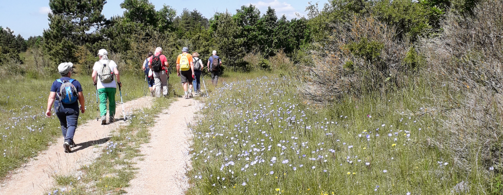 Le cros par le chemin de Calmels CS