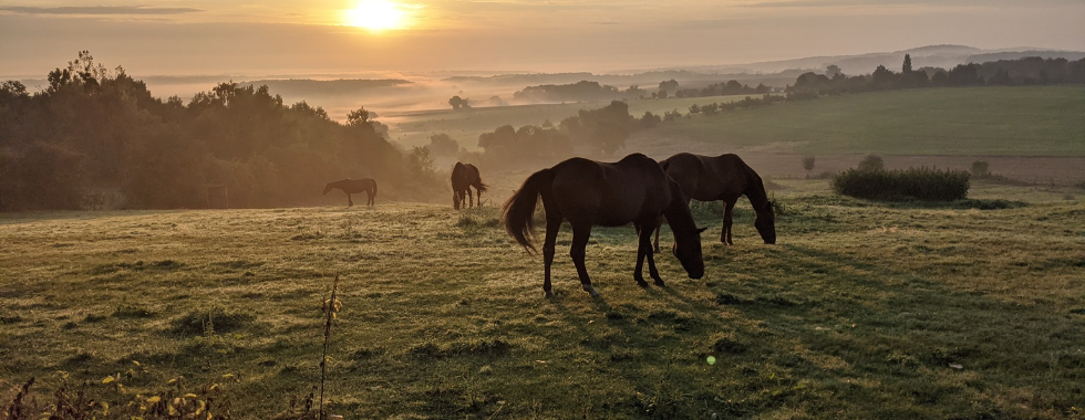 Randonnées de Chars parcours 100 km version 2024-2