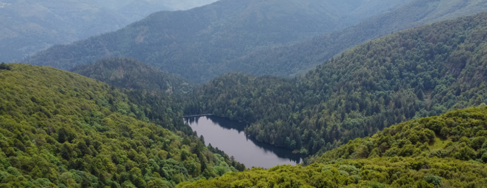 Rando Navette des Crêtes - Schlucht - H.brunnen