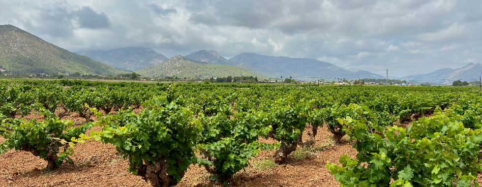 BRM 200 Comarques Centrals