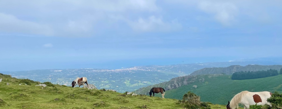 La Rhune - Venta Inzola