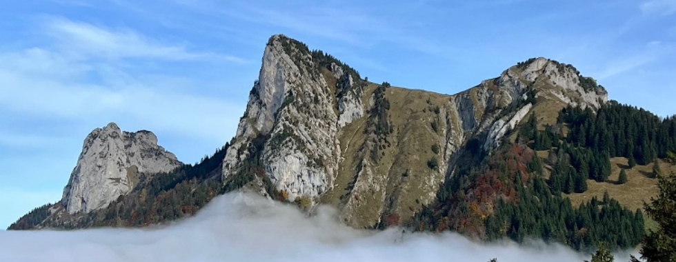 [Bornes] Le Lanfonnet et La Roche Murraz