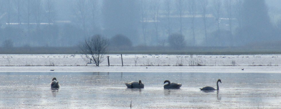 Marais blancs by A3C 2025 (128 km)
