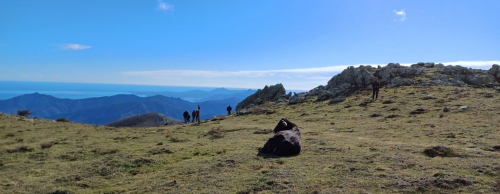 66.114j Col de Vallauria / Pic des 4 Termes