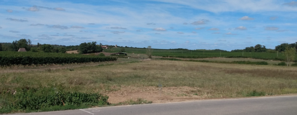 La Randonnée des Vendanges de Carbon-Blanc