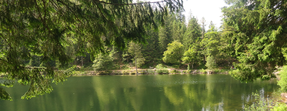 J3 Ramonchamp- Lac des Corbeaux