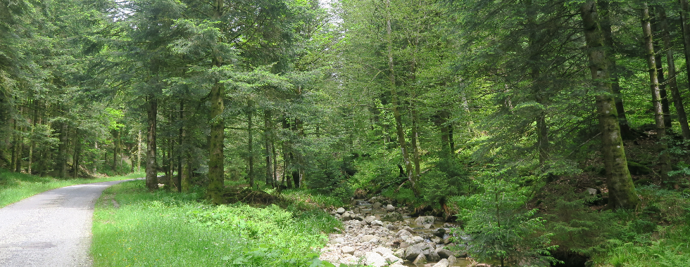 J3 Ramonchamp- Cornimont variante