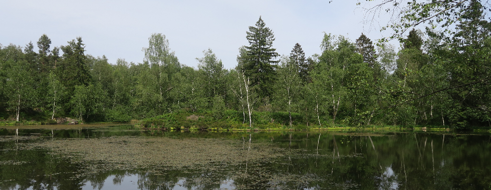 J2 Ramonchamp - La Mer Variante