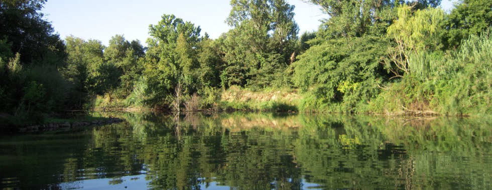 BRM200 VSCH - Un petit peu d'Argens