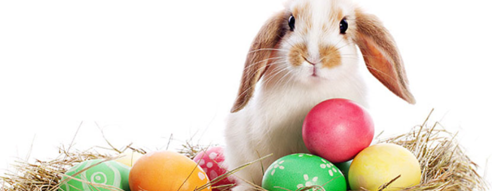 Dimanche de Pâques 2025