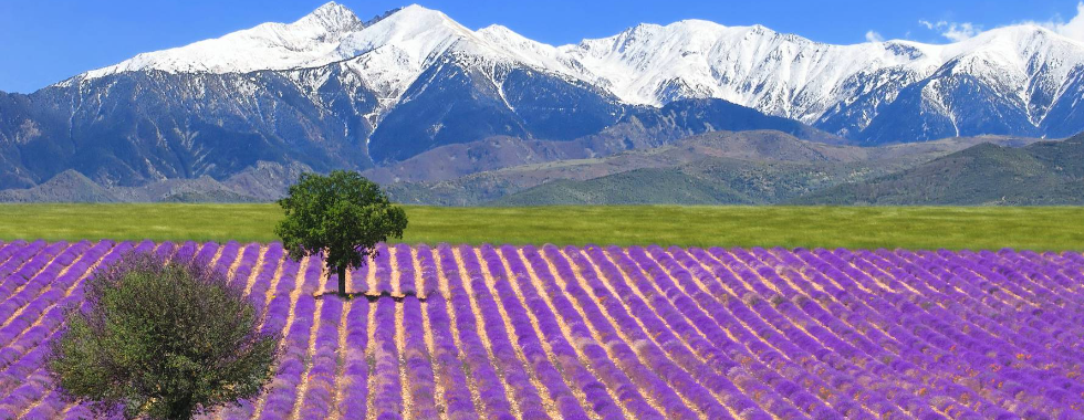 BRM300 VSCH - "Direction le Verdon !"