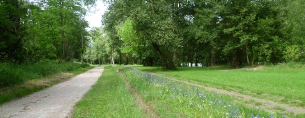 2025 04 14 Voie Romaine de Longages