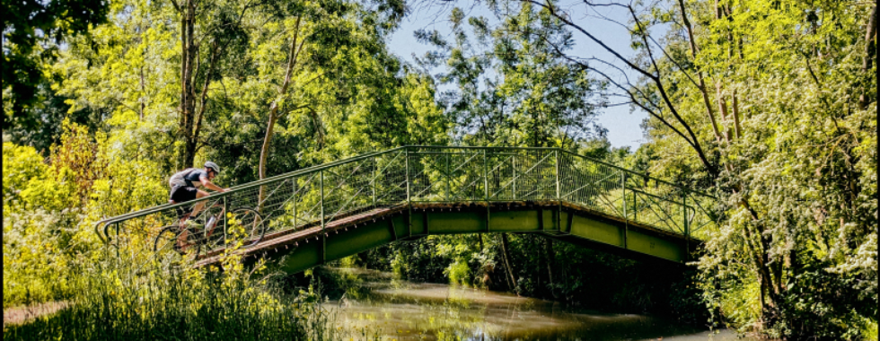 Balade dans le Marais Poitevin