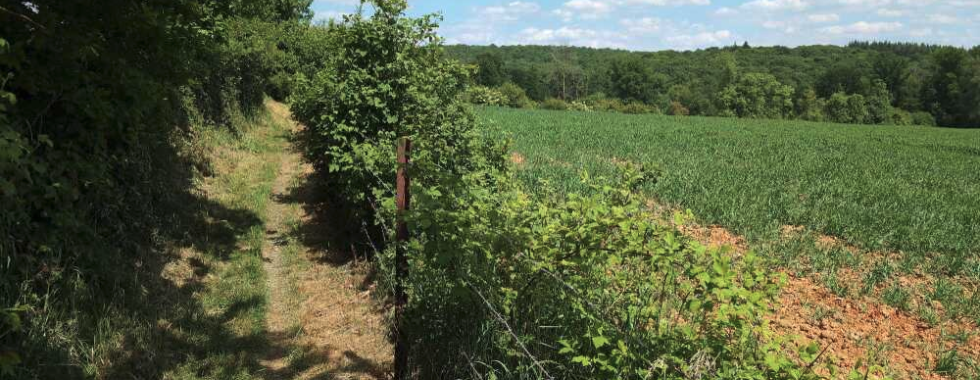 Boucle Hastière - Dinant 38Km