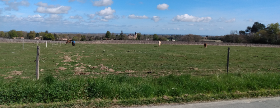 De Bordeaux à Libourne par l'Entre-deux-Mers