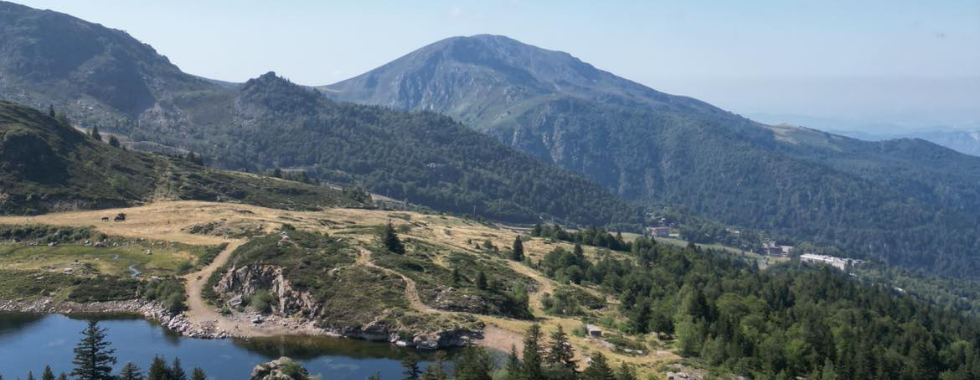 MDO TRAIL 8K Isard 2025