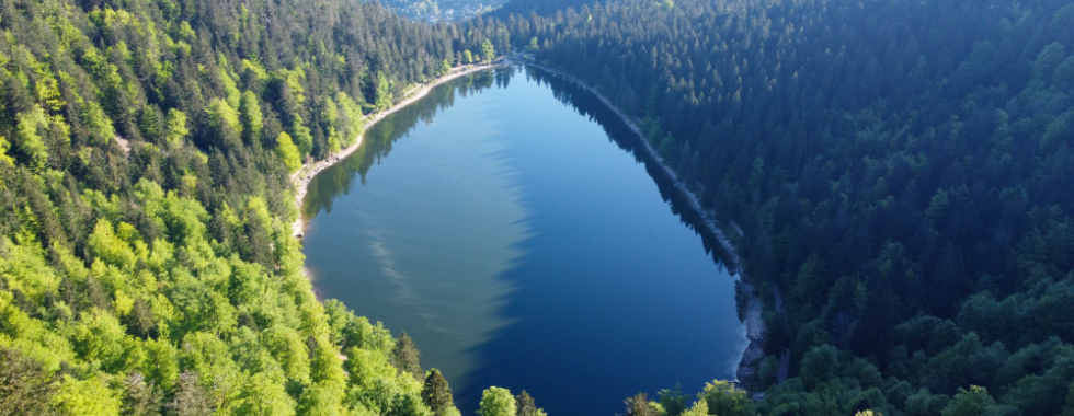 Micro-aventure Bussang-La Bresse - itin. complet