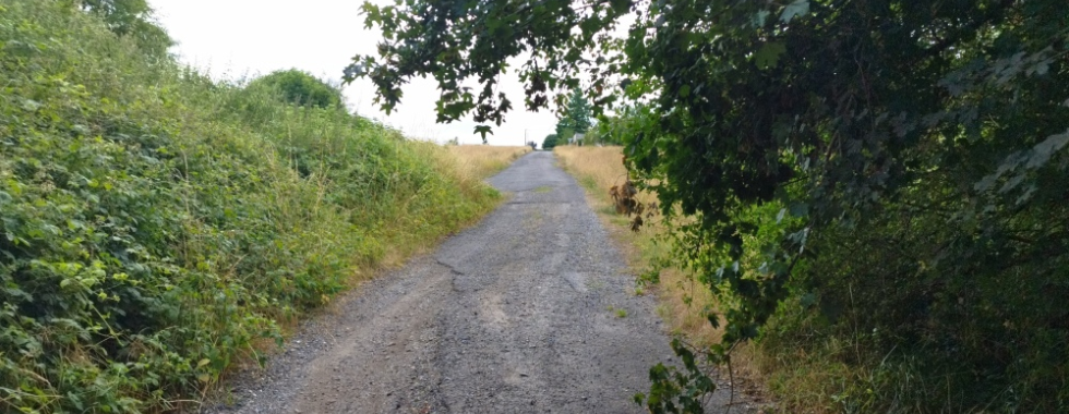 Sentier 37 // Les Frauds - Les Rassats