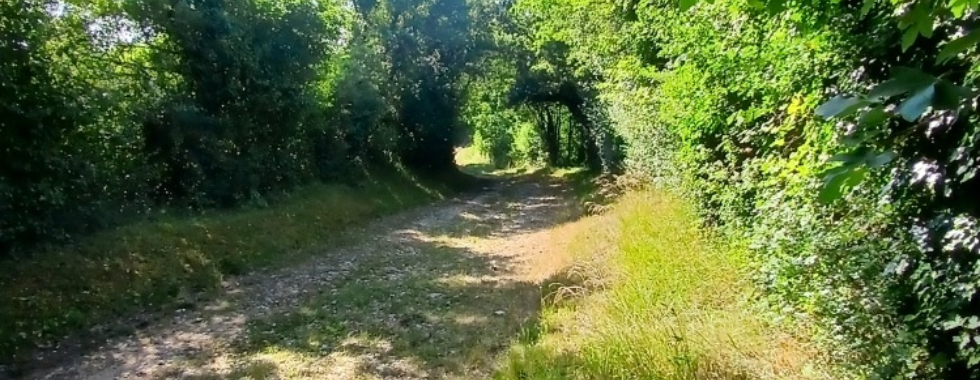 Sentier 41 // Le Bourg - Les Frottards