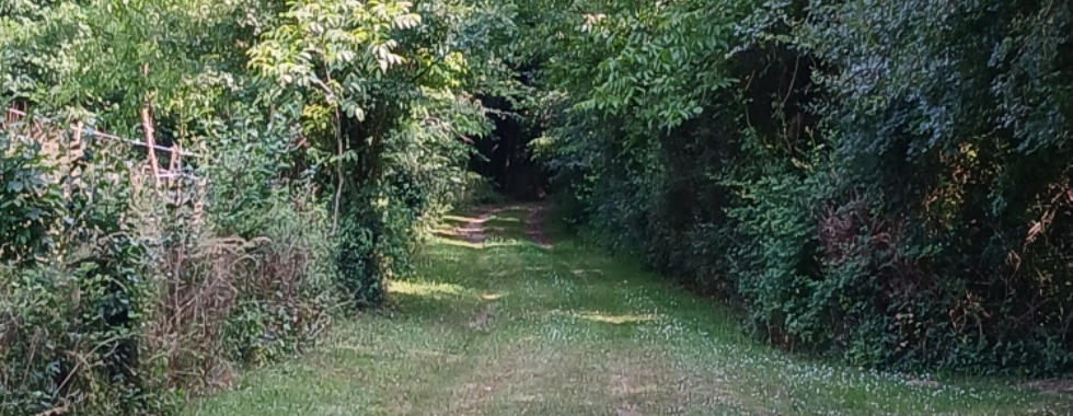 Sentier 33  // Les Frauds - Les Frottards