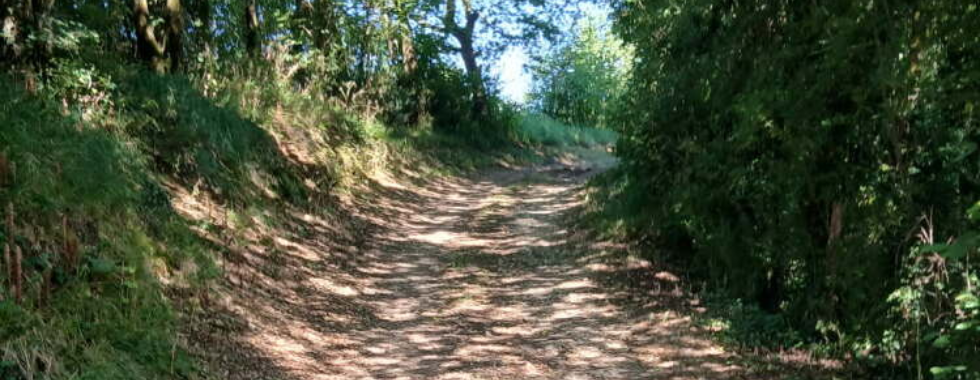 Sentier 34  // Les Chirons - La Prévôterie