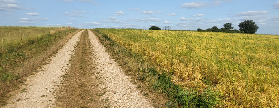 # 2 LE CIRQUE DE MISSE