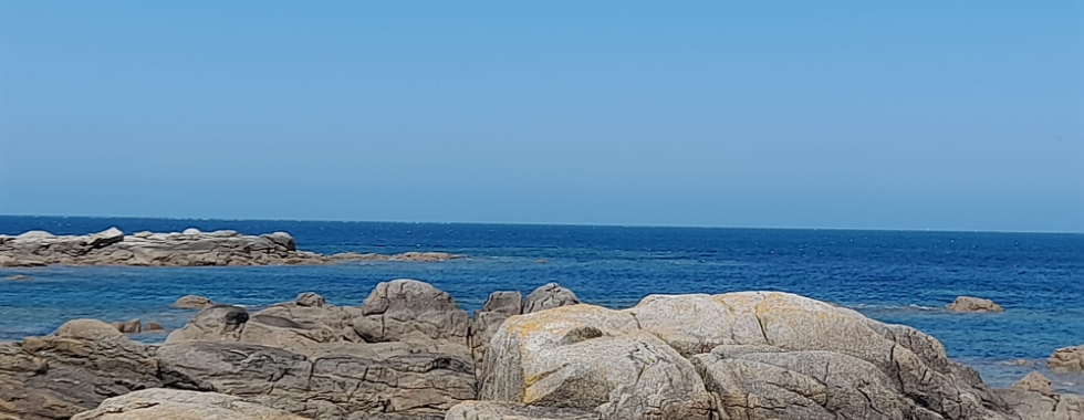 Dimanche 22 juin - "Les 100 km de Sandrine"