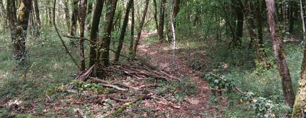 Sentier 18  // Le Maine Joizeau - Brie