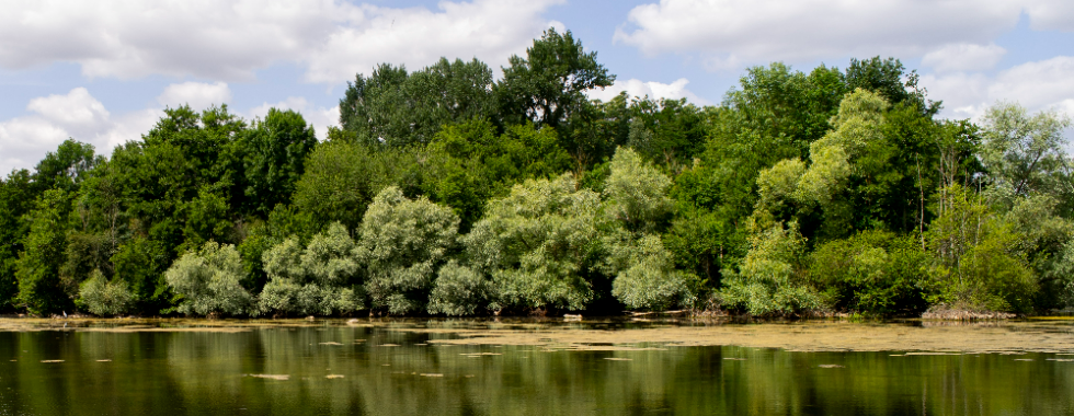 Meaux, entre Marne et canal