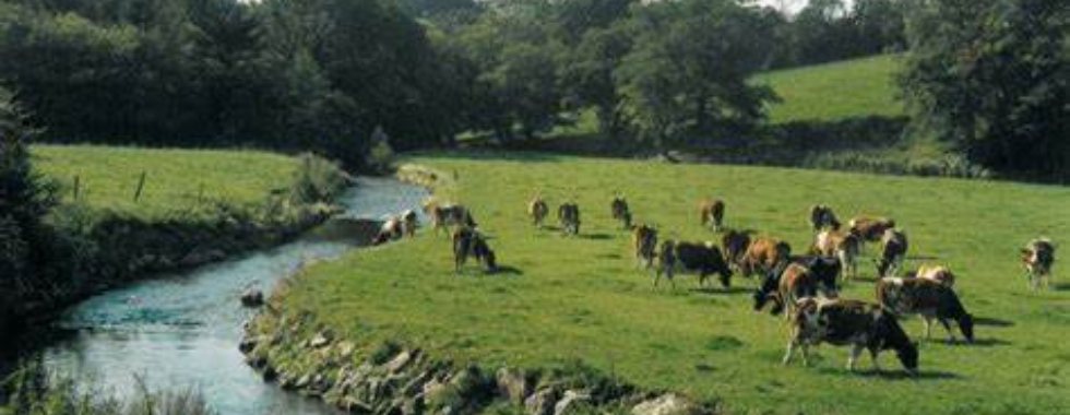 la sylvatienne 37 km