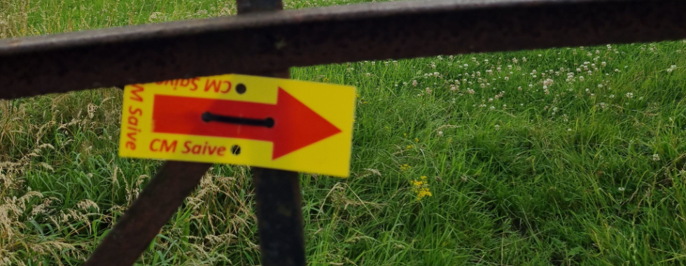 la sylvatienne 2025 10 km